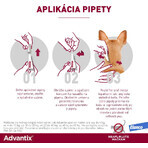 Advantix Spot-on pentru câini de la 4 la 10 kg 1 buc Advantix Spot-on pentru câini de la 4 la 10 kg 1 buc