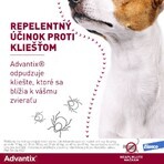 Advantix Spot-on pentru câini de la 4 la 10 kg 1 buc Advantix Spot-on pentru câini de la 4 la 10 kg 1 buc