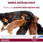 Advantix Spot-on pentru câini de la 4 la 10 kg 1 buc Advantix Spot-on pentru câini de la 4 la 10 kg 1 buc