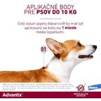 Advantix Spot-on pentru câini de la 4 la 10 kg 1 buc Advantix Spot-on pentru câini de la 4 la 10 kg 1 buc