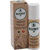 CannaBiopharm BigBio gel de gumă regedent 10 ml