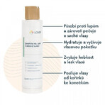 Lobey Shampoo per forfora e capelli secchi 200 ml Lobey Shampoo per forfora e capelli secchi 200 ml