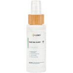 Huile capillaire Lobey 50 ml