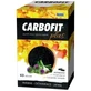 Carbofit Plus 60 gélules