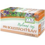Fyto Pharma Tisane pour les maux de tête 20 x 1,5 g