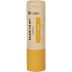 Baume à lèvres Lobey à la mangue 5 g Baume à lèvres Lobey à la mangue 5 g