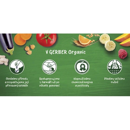 Gerber Organic sac à poires 100% bio 4m+ 16 x 90 g