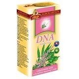 Agrocarps DNA pure natural herbal tea, 20 x 2 g