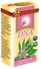 Agrocarps DNA pure natural herbal tea, 20 x 2 g