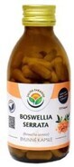 Salvia Paradise Boswellia serrata frankincense 120 capsules