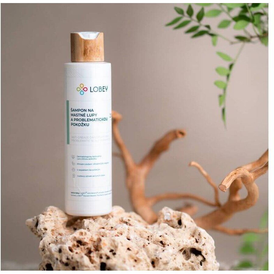 Lobey Shampoo per forfora grassa e cute problematica 200 ml