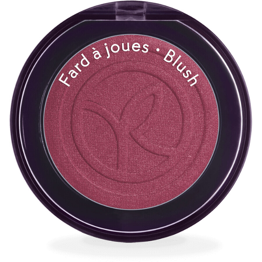 Yves Rocher Rose Hydrangea Ultra Pigmented Blush 2.7 g