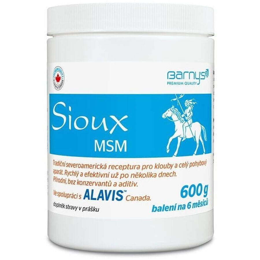 N/A Sioux MSM powder 600 g