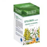 Leros Epilobin plant 20 x 1.5 g