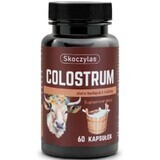 Skoczylas Colostrum Calostro bovino con inulina 60 cápsulas