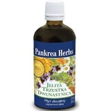 Pankrea Herbs - intestine pancreas duodenum 100ml
