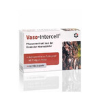 Vaso-Intercell Pycnogenol 75% 60 cápsulas, Intercell Vaso-Intercell Pycnogenol 75% 60 cápsulas, Intercell