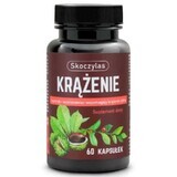Skoczylas Kreislauf Ruscus, Diosmin, Kastanie 60 Kapseln
