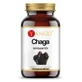 Chaga-Extrakt 10% Polysaccharid (90 Kapseln) YANGO