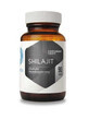 SHILAJIT - Mumio - fulvic acid extract (90 capsules) Hepatica