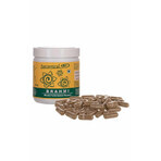 Brahmi 350mg (500 cápsulas) Aurospirul Brahmi 350mg (500 cápsulas) Aurospirul