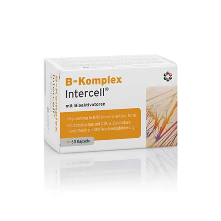 B-Complex Intercell 60 capsules