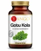 Gotu kola - ekstrakt 10% saponin triterpenowych - 100 kapsułek - Yango