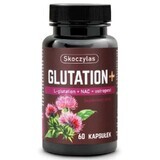 Skoczylas Glutathion + NAC + Thiamin 60 Kapseln