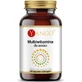 Multivitamines pour seniors 90 gélules Yango