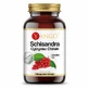 Schisandra - extract 10:1 - 90 capsules YANGO