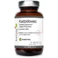 Wierookformule Casperome® Indena Fitosom 60 capsules Kenay