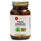 Sabalpalm 45% vetzuren 90 capsules Yango