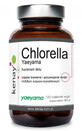 Chlorella Yaeyama (broken cell walls) 120 tablets Kenay