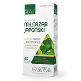 Ginkgo biloba 120mg, 60 Kapseln Medica Herbs