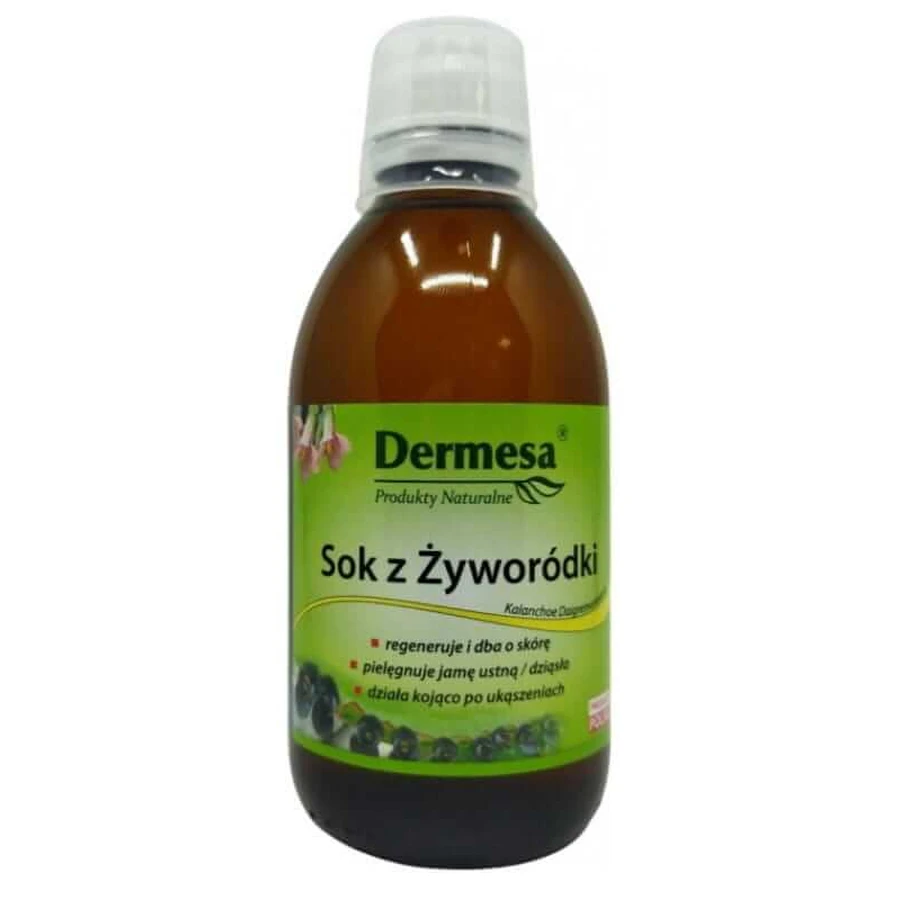 Dermesa Vives Saft 250 ml