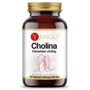 Cholin - Cholin-Dihydrat 90 Kapseln Yango