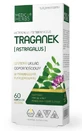 Astragalus 600mg, 60 Kapseln Medica Herbs
