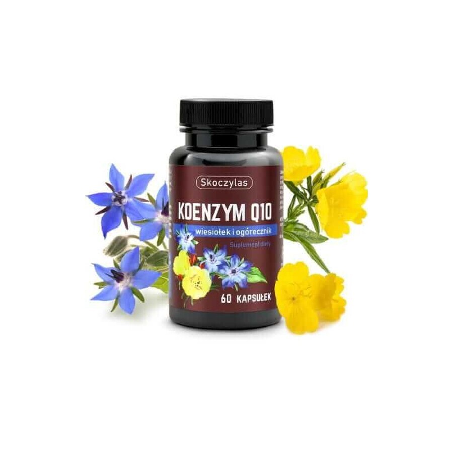 Skoczylas Coenzima Q10, enotera e borragine 60 capsule