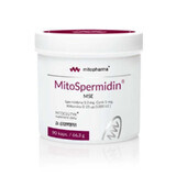 MitoSpermidin MSE 90 gélules Dr Enzmann Dr Enzmann