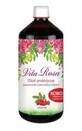 VITA ROSE VITA, Probiotico 1000 ML