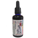 Immunivo Junior Immunitätstropfen mit erhöhter Absorption 50 ml Organis Immunivo Junior Immunitätstropfen mit erhöhter Absorption 50 ml Organis