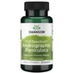 Andrographis Paniculata 400 mg - 60 Kapseln Swanson