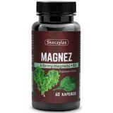 Skoczylas Magnesio 4 formas - espinacas, col rizada 60 cápsulas