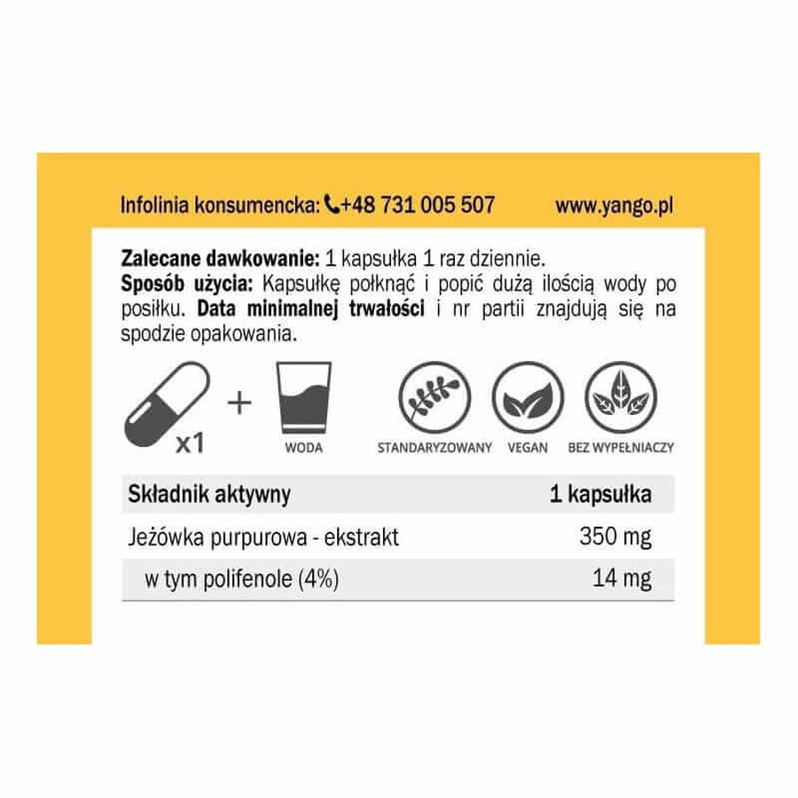 Extracto de equinácea 350 mg, Purple Coneflower 60 cáps. YANGO