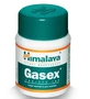 Gasex Digestion 100 tablets Himalaya