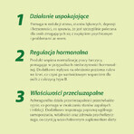 Ashwagandha natürlich 570 mg 9% x 100 vegetarische Kapseln Aliness Ashwagandha natürlich 570 mg 9% x 100 vegetarische Kapseln Aliness