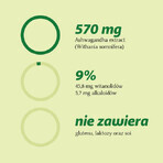 Ashwagandha natürlich 570 mg 9% x 100 vegetarische Kapseln Aliness