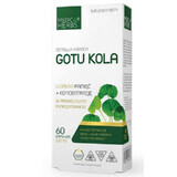 Gotu Kola 520 mg, 60 capsule Medica Herbs