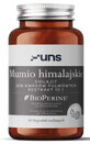 Himalaya Mumie 60 Kapseln UNS
