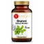 Brahmi (Bacopa Monnieri) extracto 50% bacoside 100 cápsulas YANGO